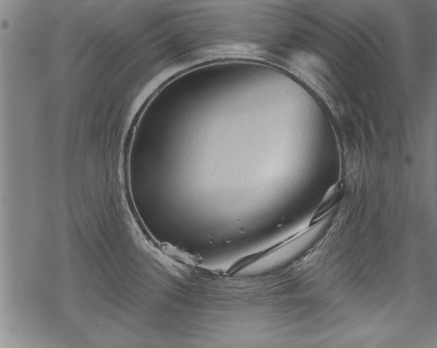 X0000069791339200605221105