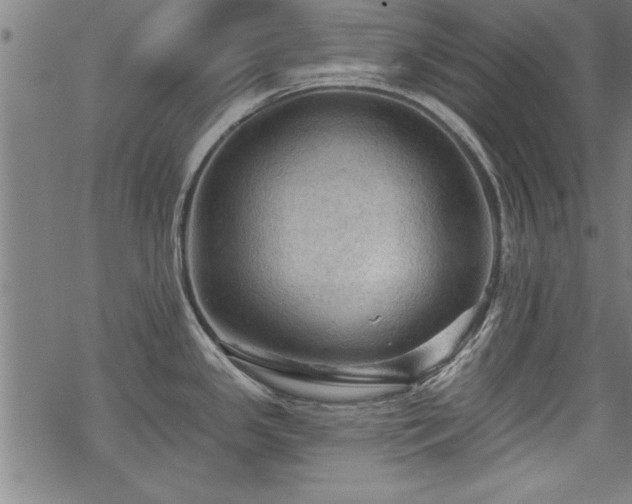 X0000069791341200605221105