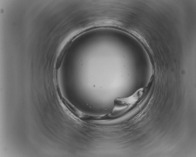 X0000069791342200605221105