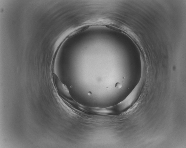 X0000069791344200605221105