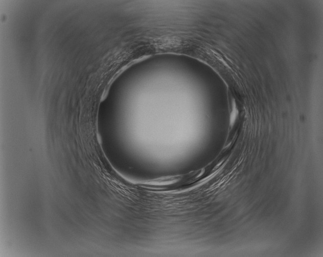 X0000069791345200605221104