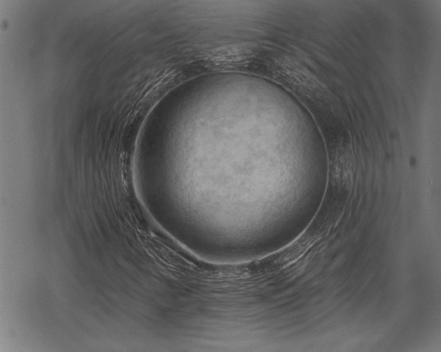 X0000069791346200605221104