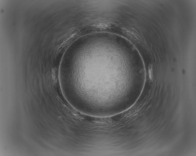 X0000069791347200605221104