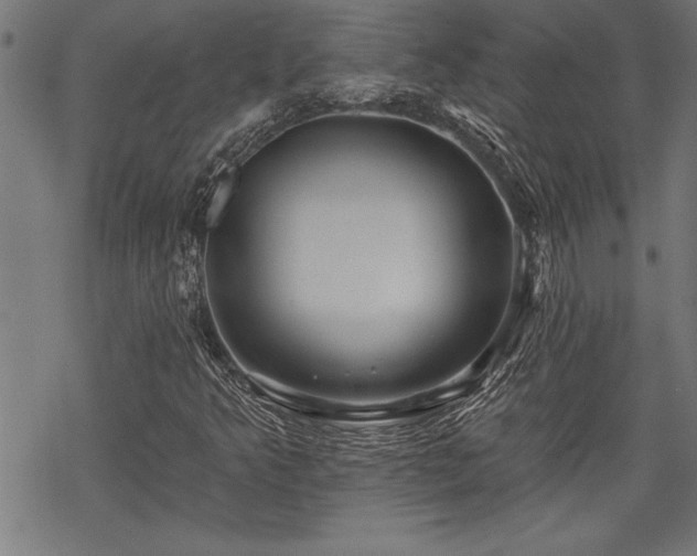 X0000069791349200605221104