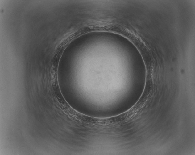 X0000069791350200605221104