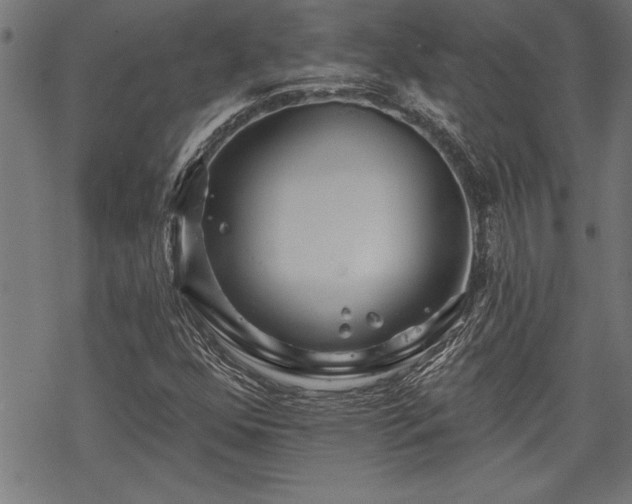 X0000069791352200605221104