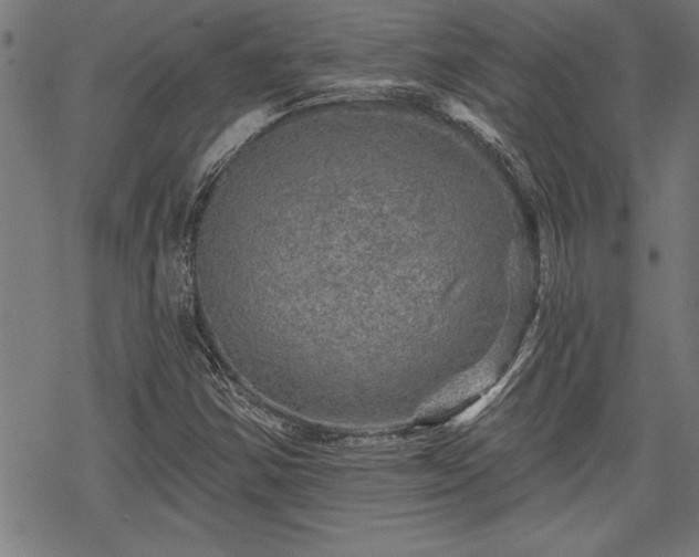 X0000069791354200605221104