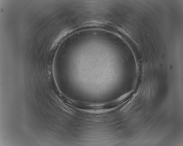 X0000069791355200605221104