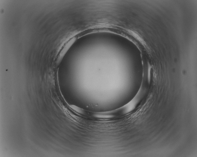 X0000069791356200605221104