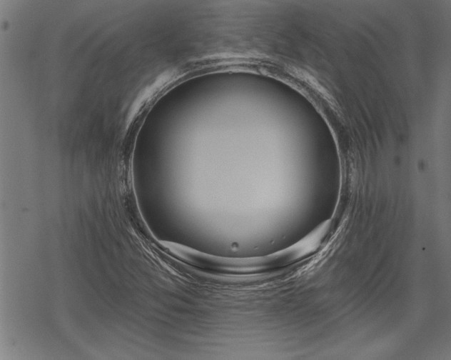 X0000069791357200605221104