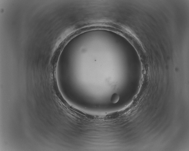 X0000069791360200605221104