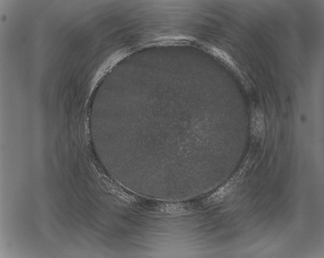 X0000069791362200605221104