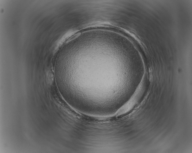 X0000069791363200605221104