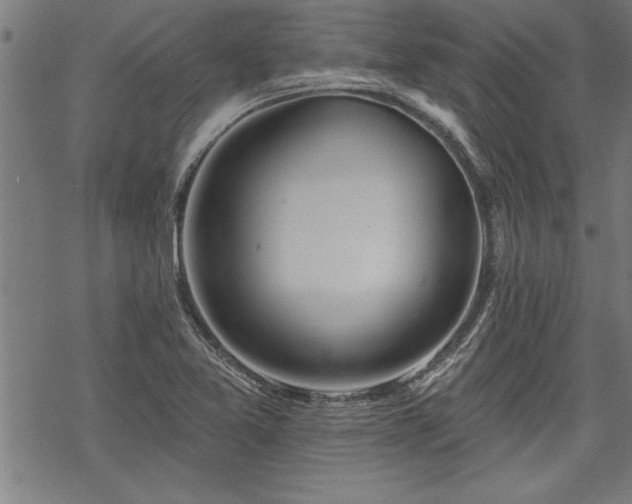 X0000069791365200605221104