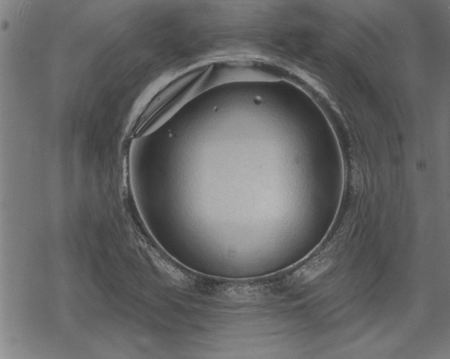 X0000069791366200605221104