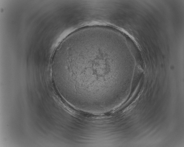 X0000069791367200605221104