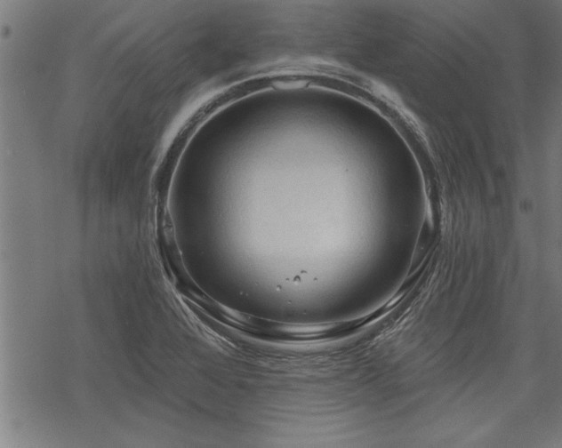 X0000069791368200605221104