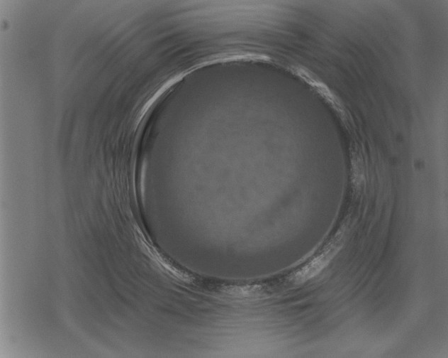 X0000069791369200605221104