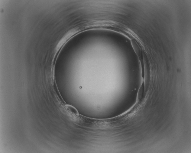 X0000069791370200605221104