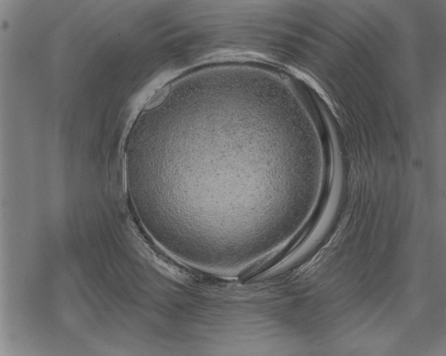 X0000069791371200605221104