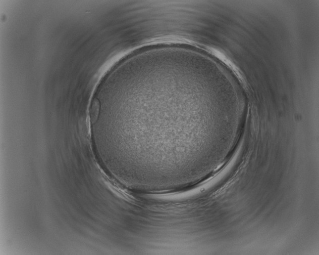 X0000069791372200605221104