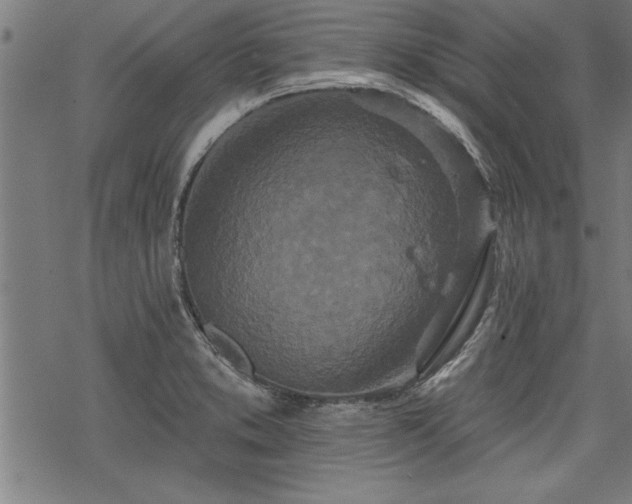 X0000069791373200605221104