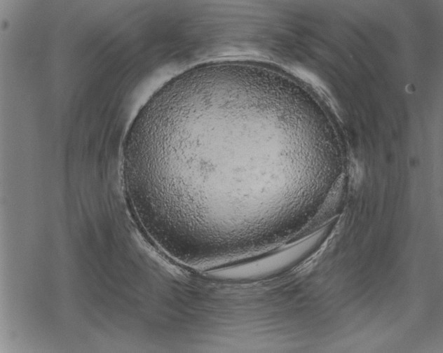 X0000069791374200605221104