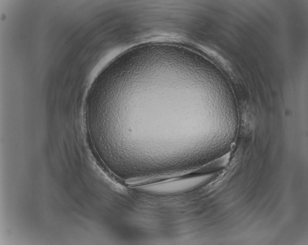 X0000069791375200605221104