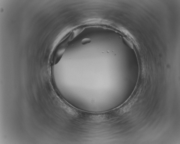 X0000069791376200605221104