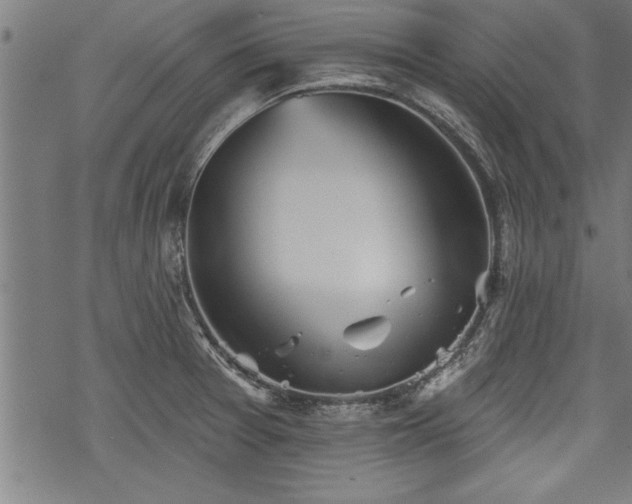 X0000069791377200605221104