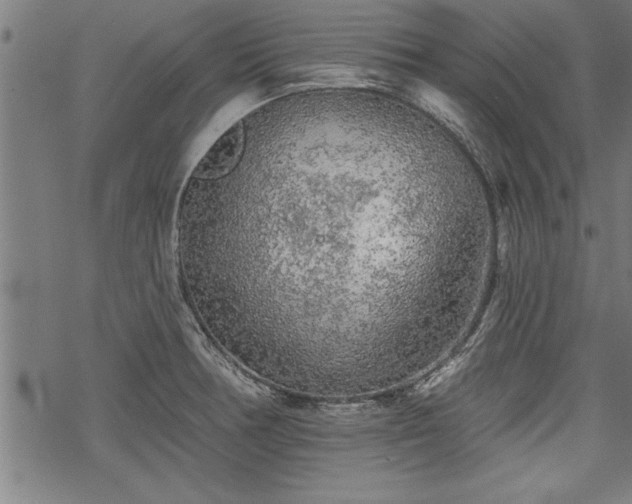 X0000069791378200605221104