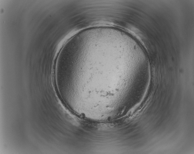 X0000069791379200605221104