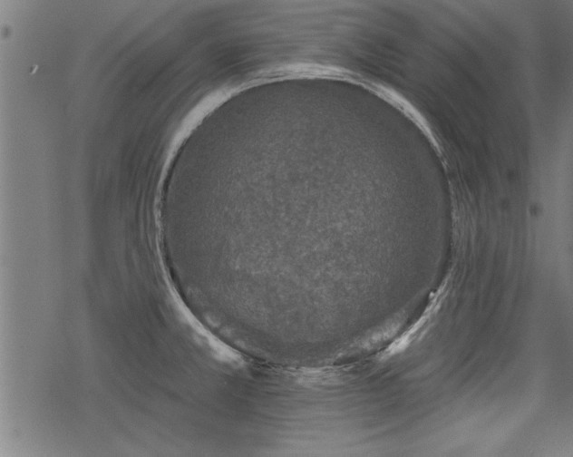 X0000069791381200605221104