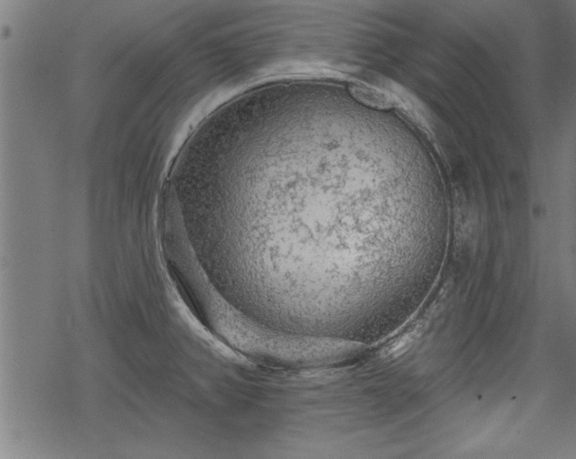 X0000069791382200605221104