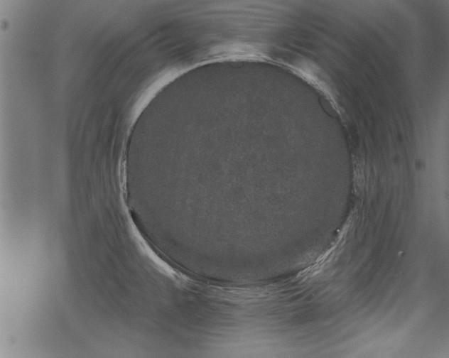 X0000069791383200605221104