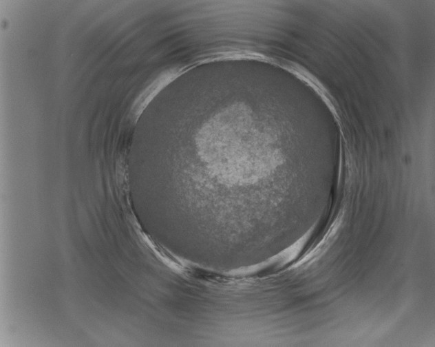 X0000069791385200605221104