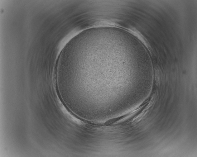 X0000069791387200605221104