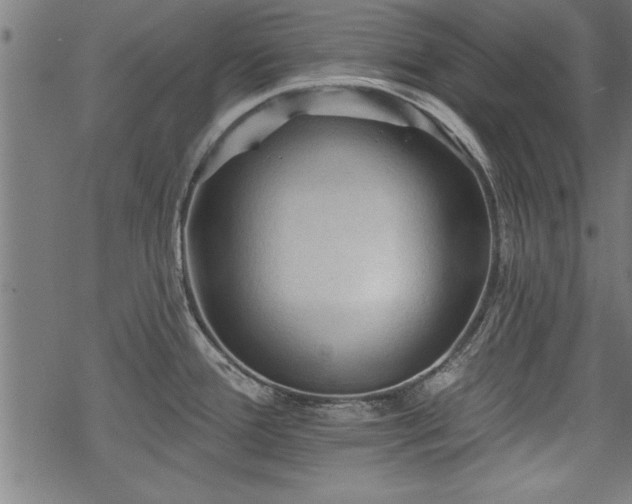 X0000069791388200605221104