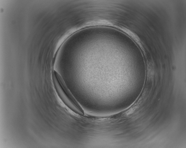 X0000069791390200605221104