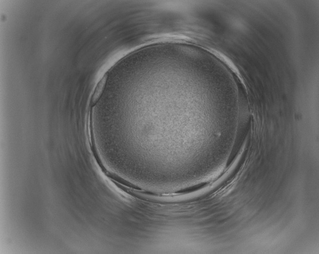 X0000069791391200605221104