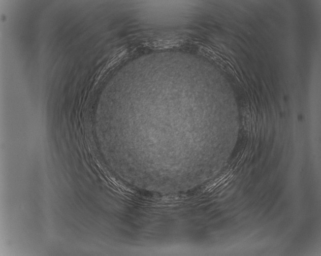 X0000069791393200605221103