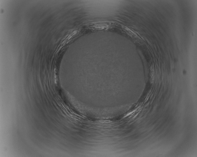 X0000069791394200605221103