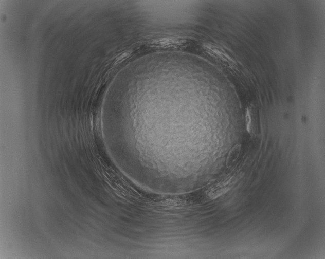 X0000069791395200605221103