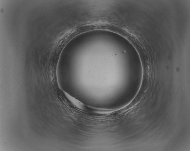 X0000069791398200605221103