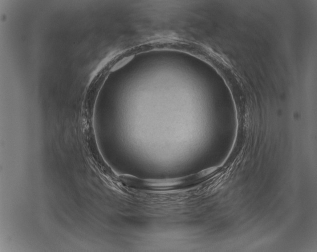 X0000069791400200605221103