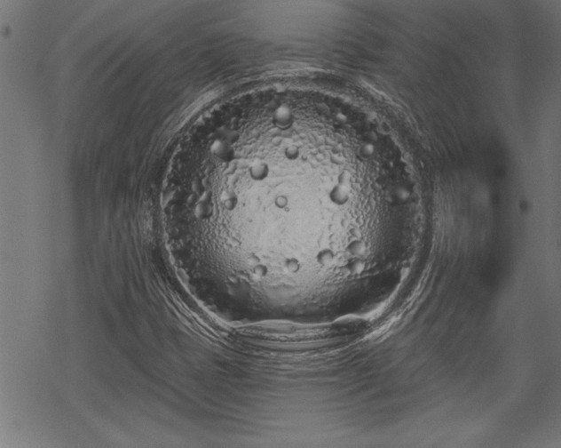 X0000069791401200605221103