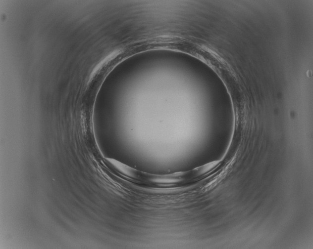 X0000069791402200605221103