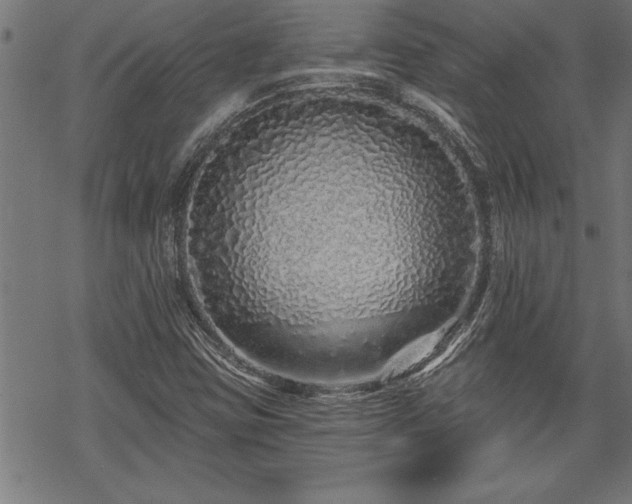 X0000069791403200605221103