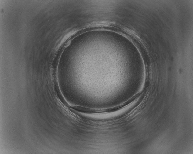 X0000069791404200605221103