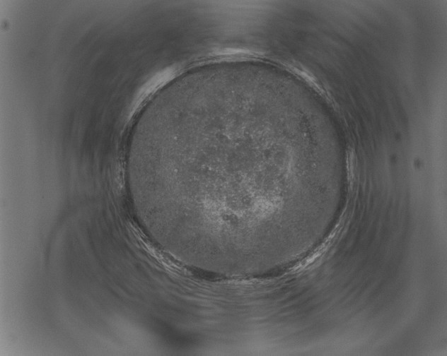 X0000069791405200605221103